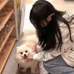 放置江湖2破解版下载